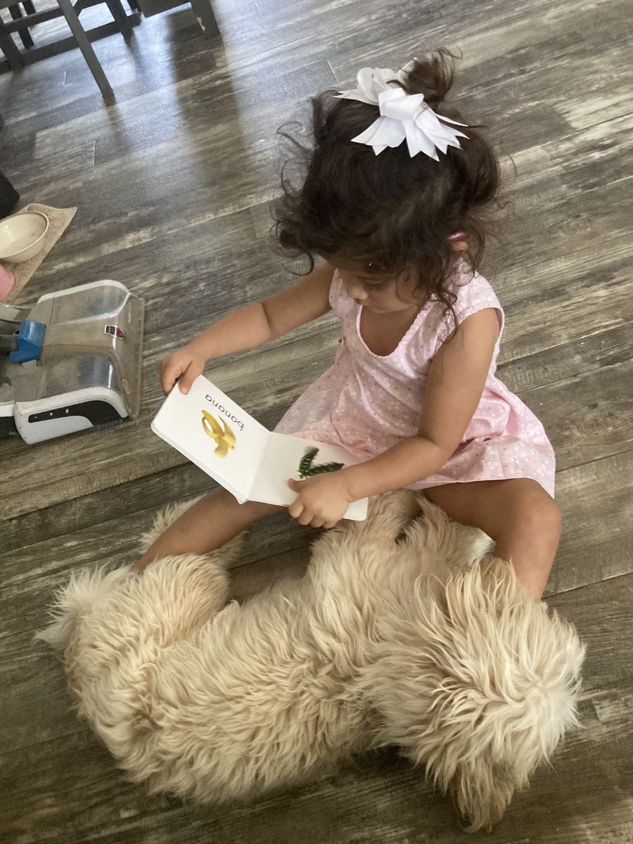 A toddler in a pink dress turning the pages of a picture book beside a dog.